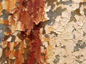 diagnostic plomb à lyon